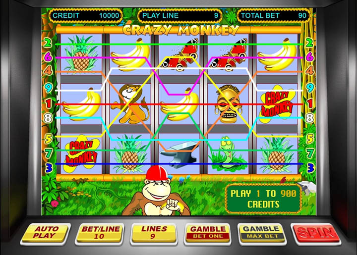 Выбор бонуса в Crazy Monkey